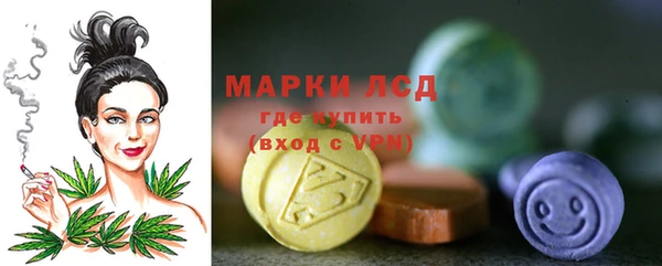 хмурый Арсеньев