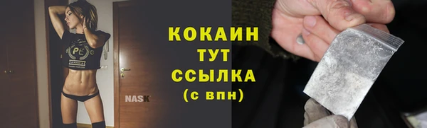 хмурый Арсеньев