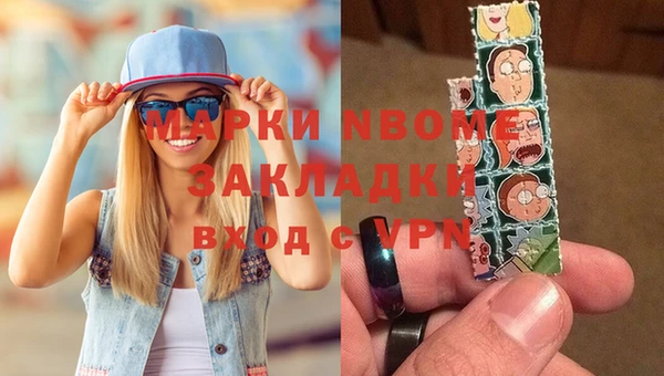 хмурый Арсеньев