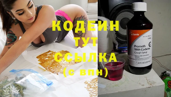 хмурый Арсеньев