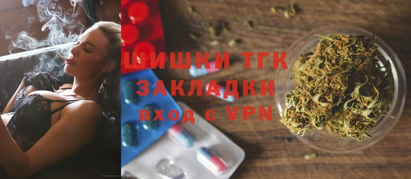 хмурый Арсеньев