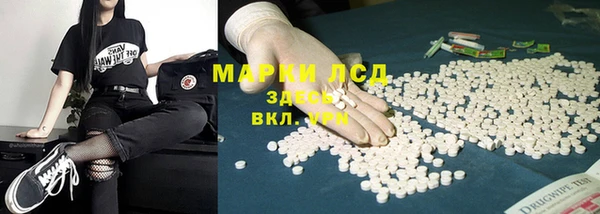 амф Аркадак