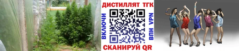 shop Telegram  Михайловка  Дистиллят ТГК вейп с тгк  гидра tor 
