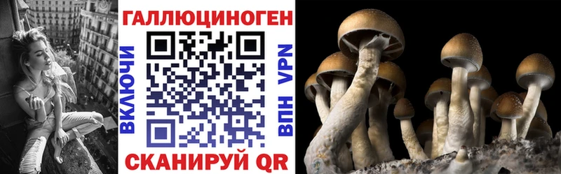 дарнет шоп  Михайловка  Псилоцибиновые грибы MAGIC MUSHROOMS 